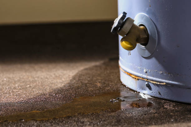 Best Commercial water damage restoration  in Picnic Point, WA