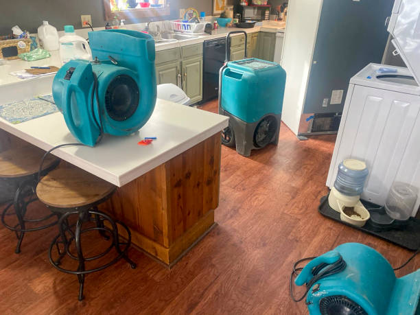 Professional Water damage restoration in Picnic Point, WA