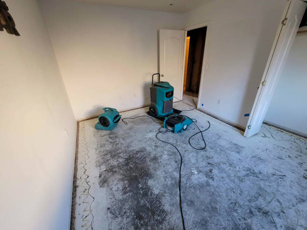 Best Professional water damage repair  in Picnic Point, WA
