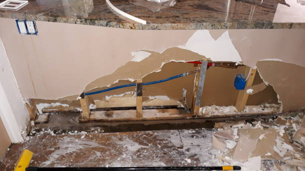 Best Mold removal after water damage  in Picnic Point, WA