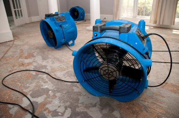 Best Water damage cleanup near me  in Picnic Point, WA