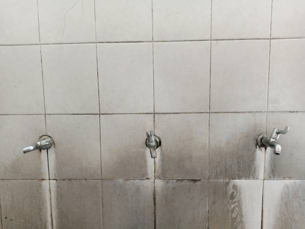 Best 24-hour water damage restoration  in Picnic Point, WA