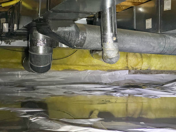 Best Basement water damage restoration  in Picnic Point, WA