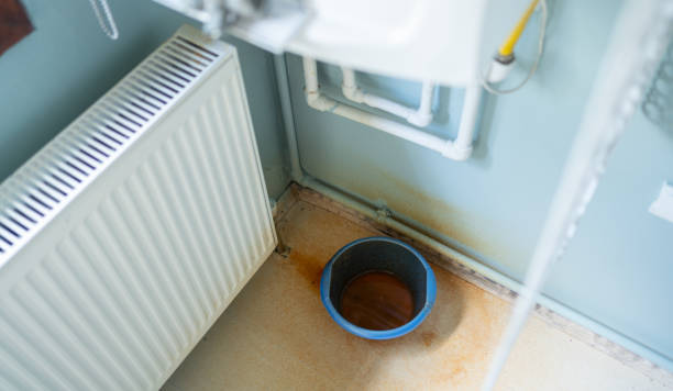 Best Basement water damage restoration  in Picnic Point, WA