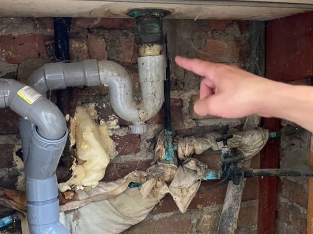 Best 24/7 water damage repair  in Picnic Point, WA