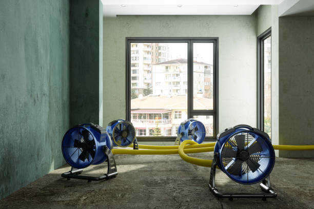 Best Water damage repair service  in Picnic Point, WA
